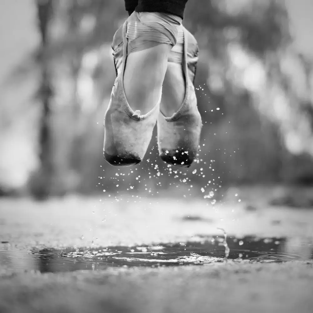 Ashton-Jones, Howard: The day we went jumping in puddles