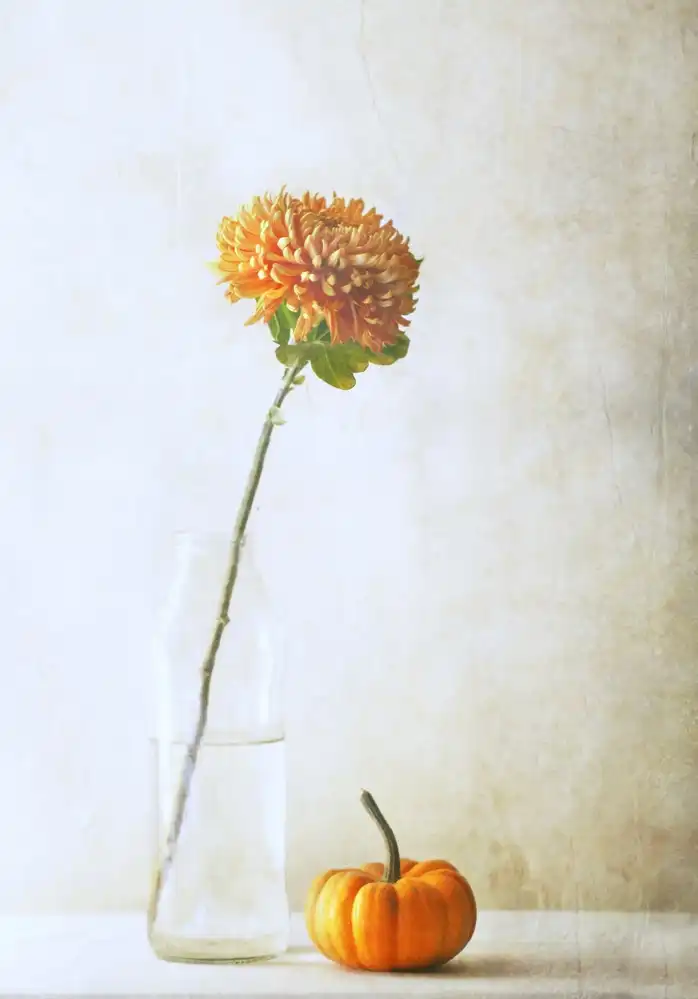 Devos, Delphine: Autumn Flower