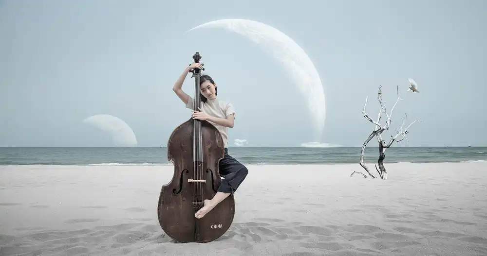 Z, Bingo: Il mio mondo musicale