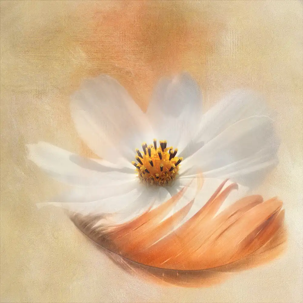 Gray, Gaille: Light as a Feather