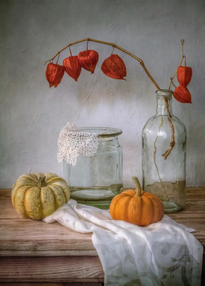 Disher, Mandy: Still life with Physalis and Pumpkin