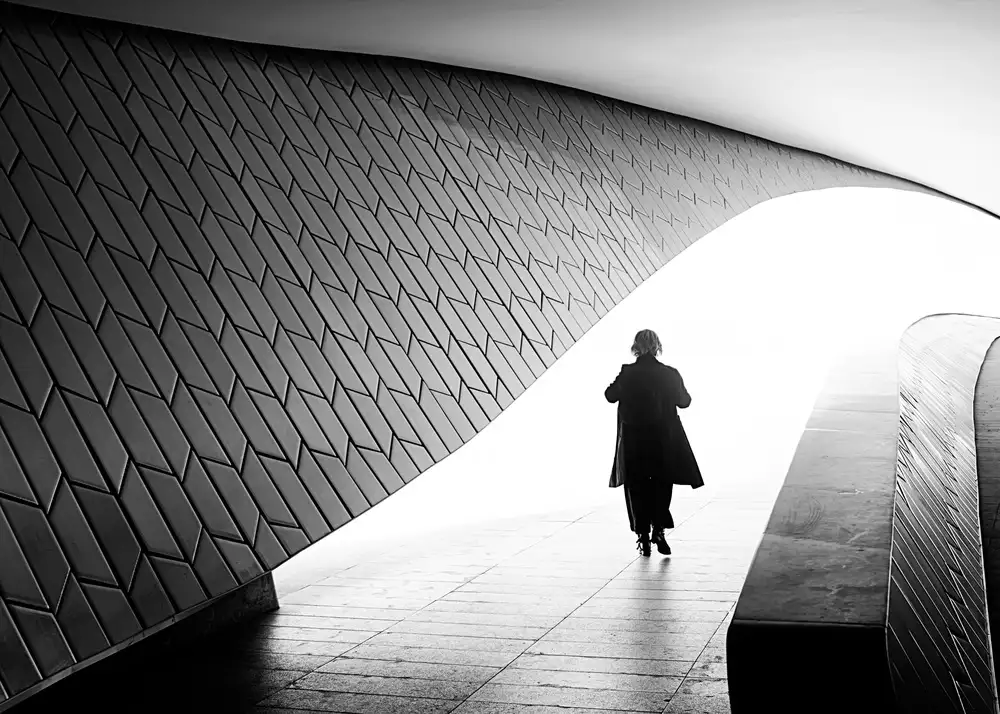 Domenichi, Luca: MAAT serie: visitor, exit