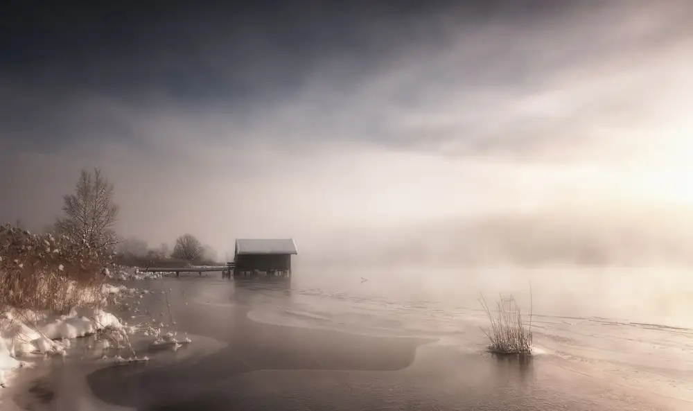 DeLaan, Corry: Misty Winter Morning