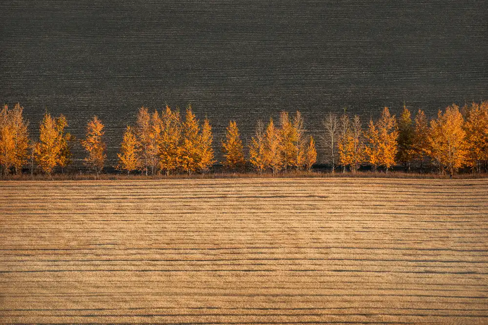 Tianqi: Autumn colors