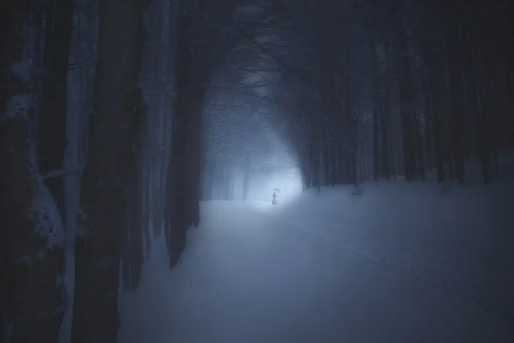 Lazzarotti, Paolo: A WINTER NIGHT IN THE FOREST