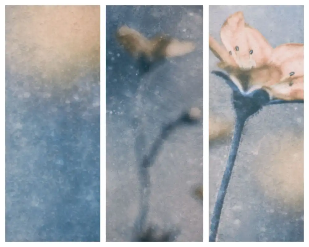 Devos, Delphine: Blue Winter (Triptych)