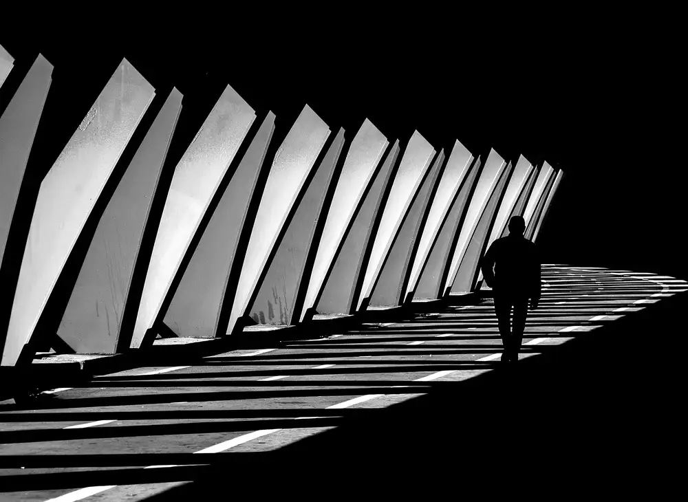 Urrutia, Adolfo: Between light and shadow