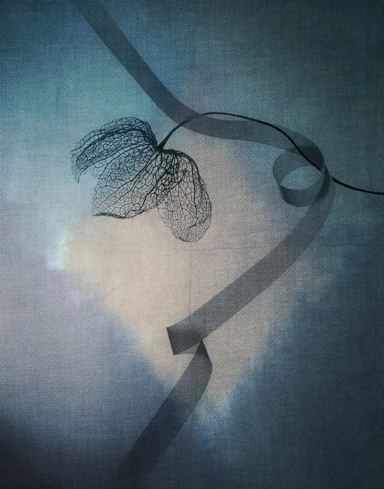 Kowatari, Shihya: The Beauty Of Sadness