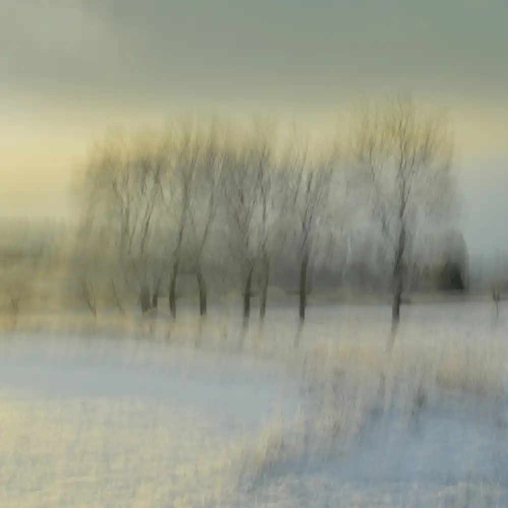 Sillèn, Christina: mañana nevada