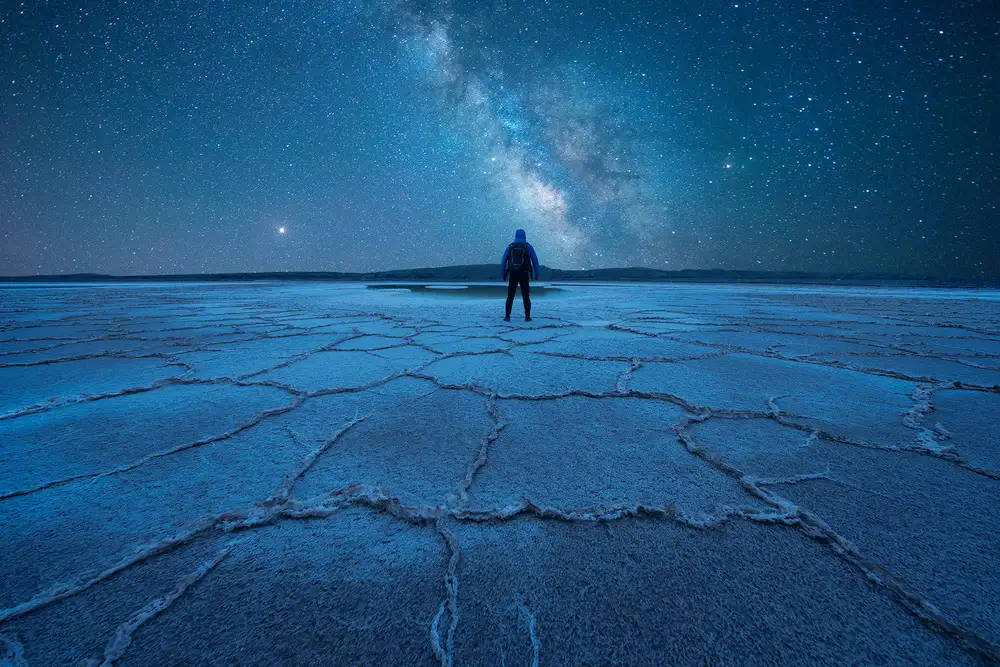 Z, Bingo: A starry night