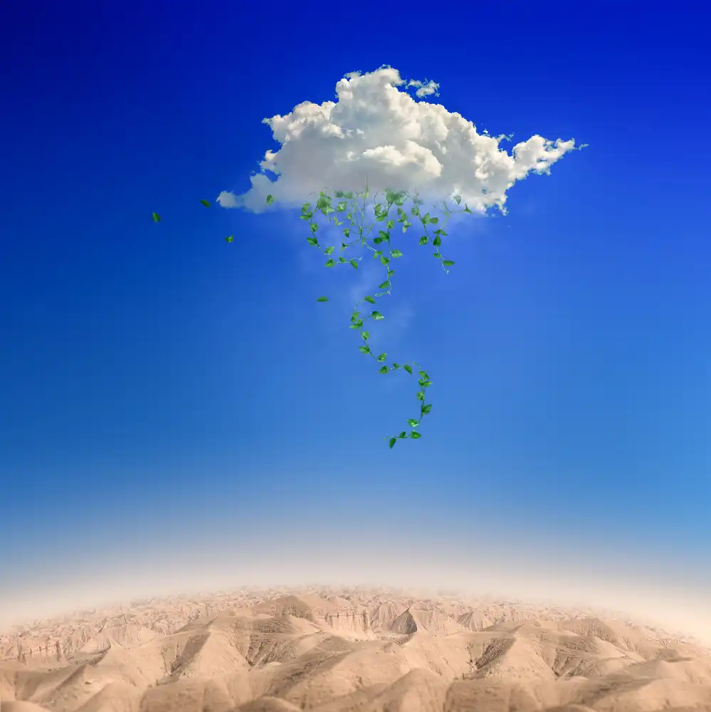 Eslamzadeh, Milad: Green Rain