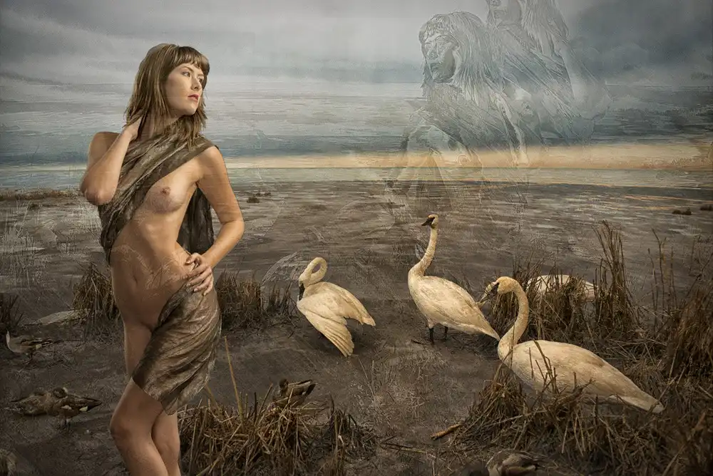 Gore, Tom: Leda und die Schwäne
