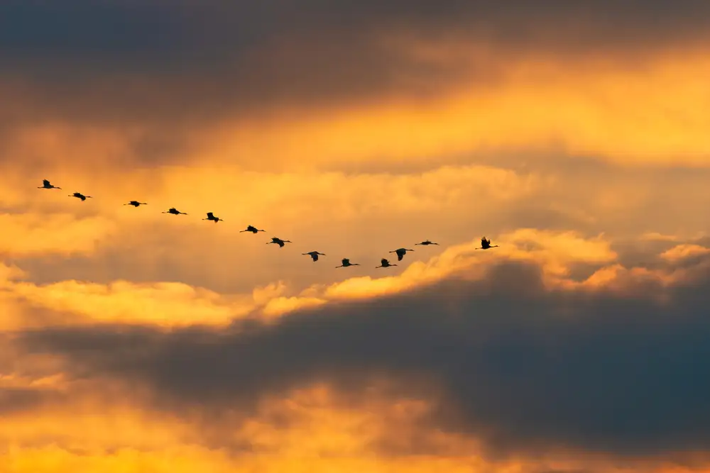 Fan, John: Abriendo el cielo