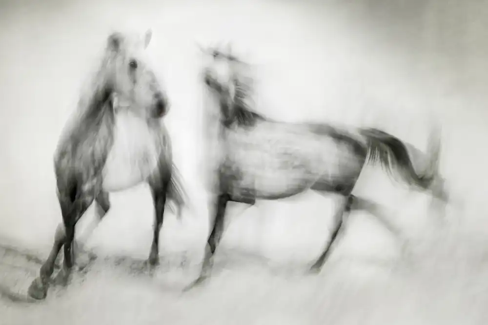 Benezech, Martine: Shivers