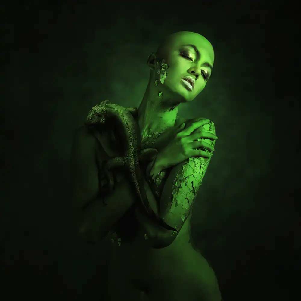 hardibudi: Karma chameleon