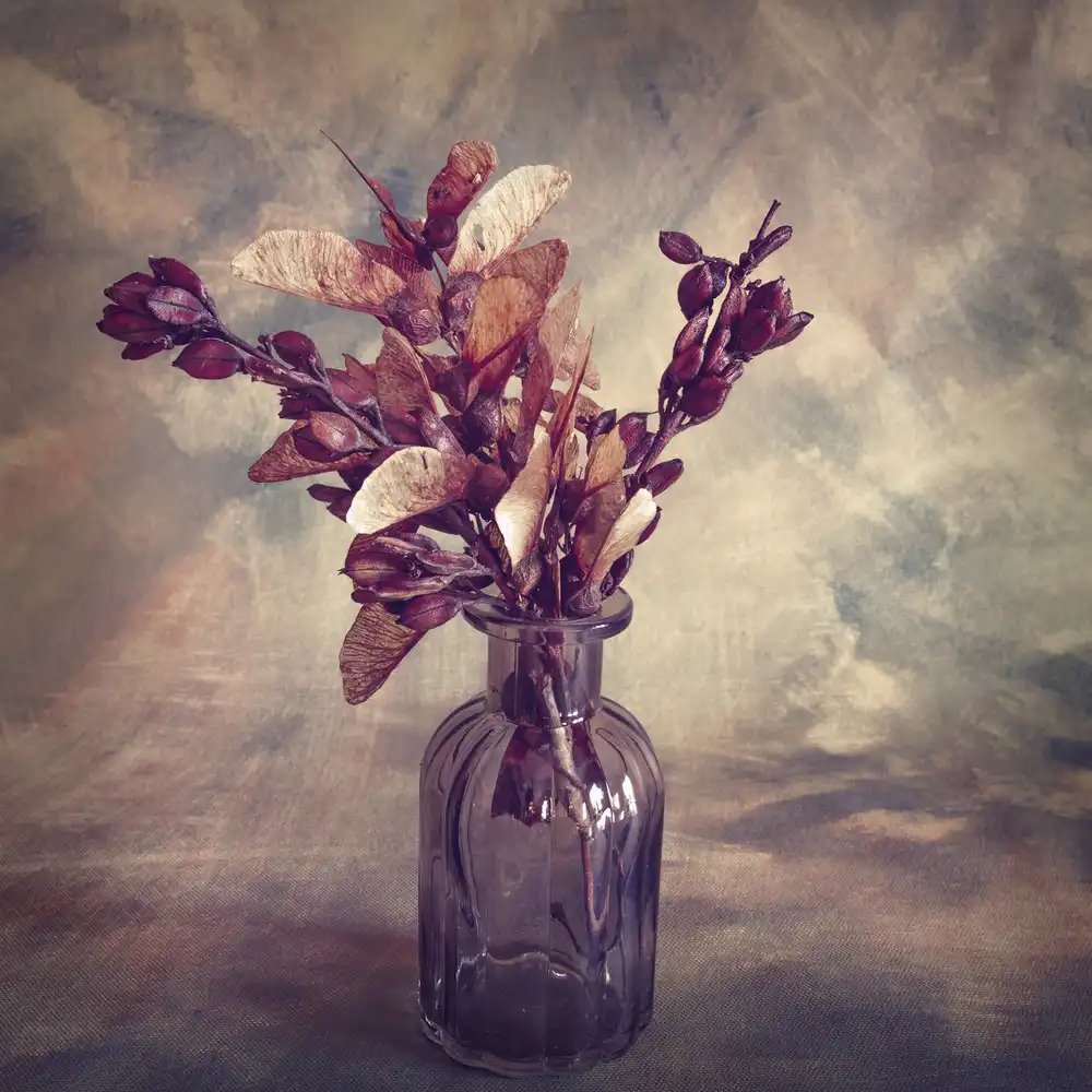 Kiral, Cicek: Autumn Struck