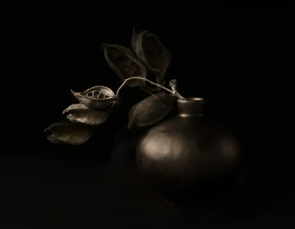 Halaby, Margaret: Seed Pods, Their Echoes