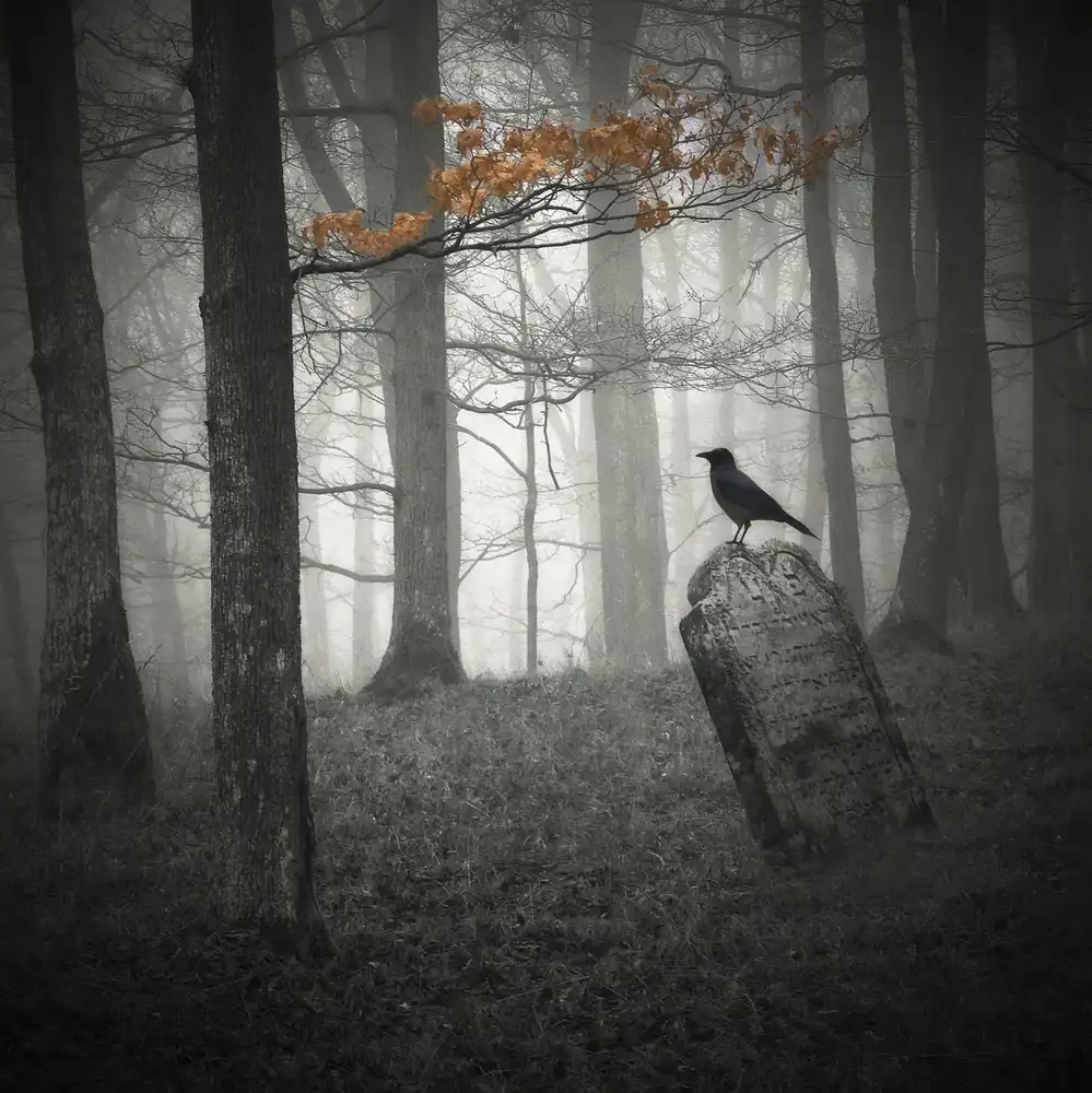 Kompas, Stanislav: When the autumn is over