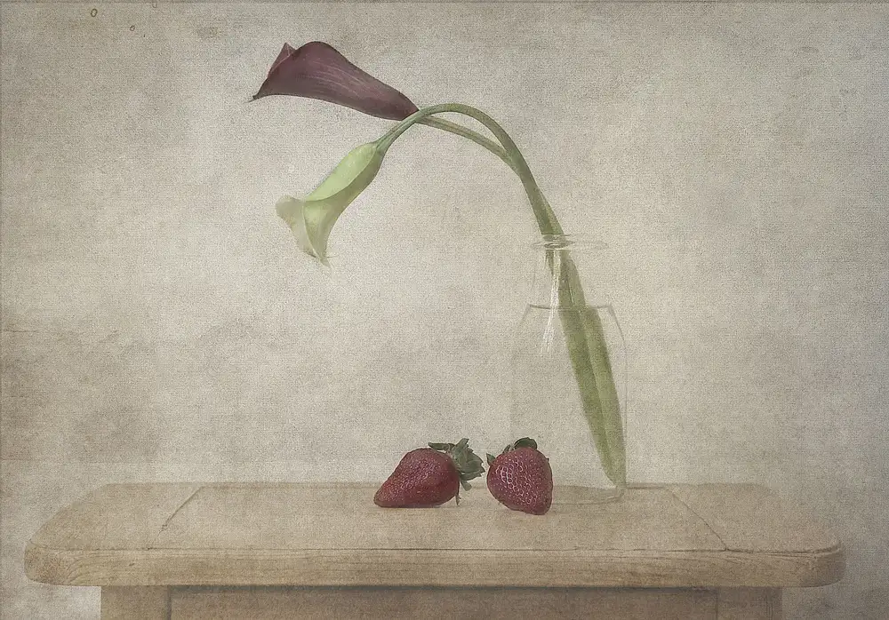 Gugeri, Deborah: Lilies