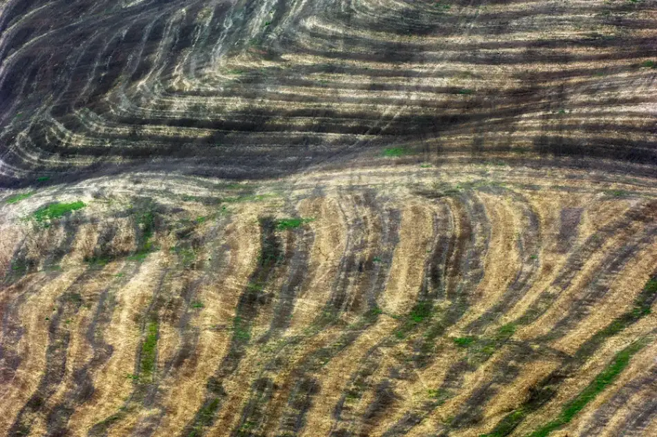 Kravanja, Jure: Linien
