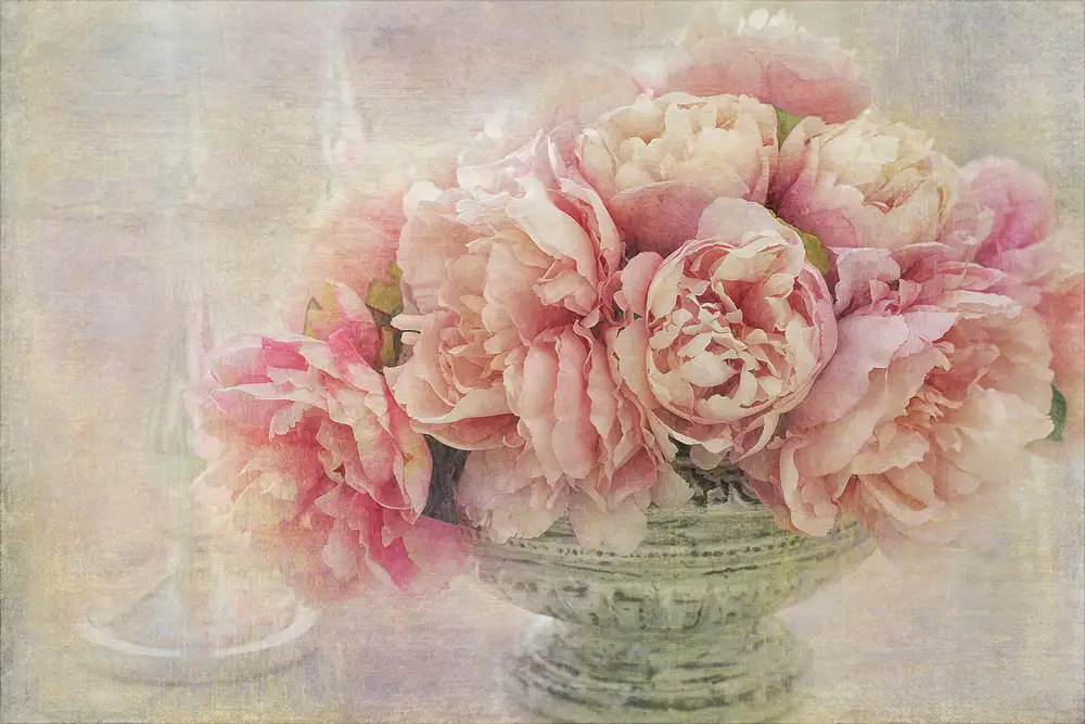 Gray, Gaille: A Posy of Pink Peonies