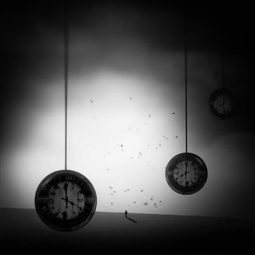 Keller, Nic: my time in the mirror of life....