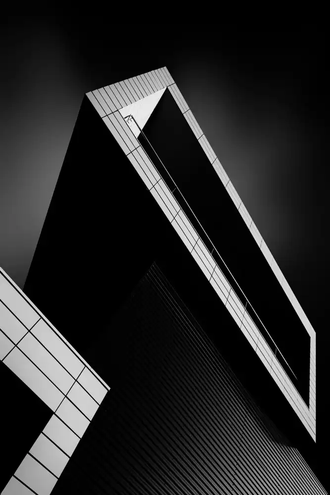 Wiel, van Jeroen: Trigoni
