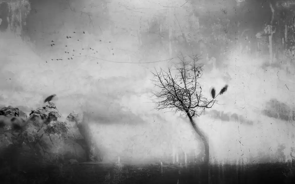 Dauria, Adam: A Slowly Fading Memory