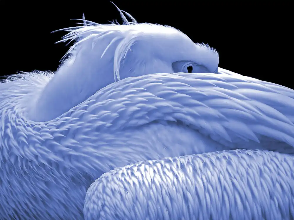 Dufour, Thierry: Blaue Dämmerung...