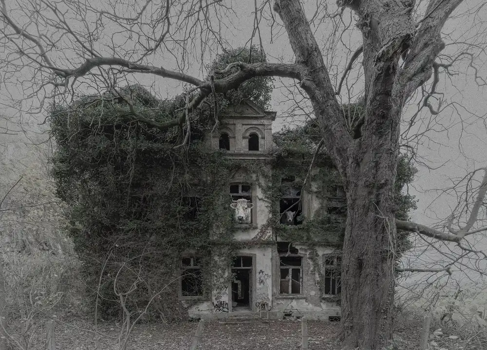 Hageman, Michiel: The Last Inhabitants