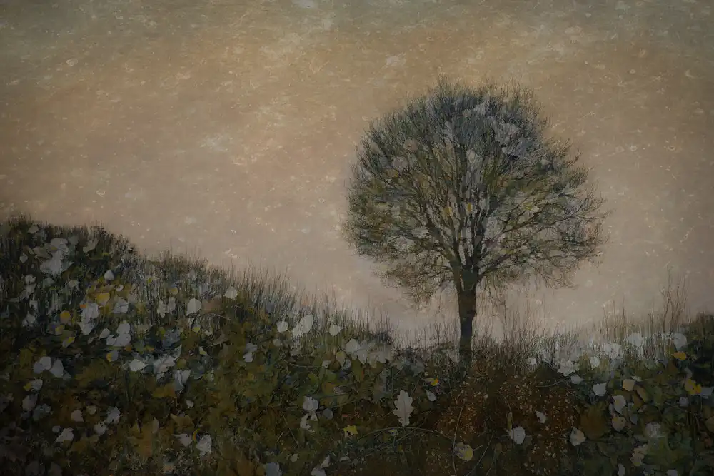 Talen, Nel: Lonely