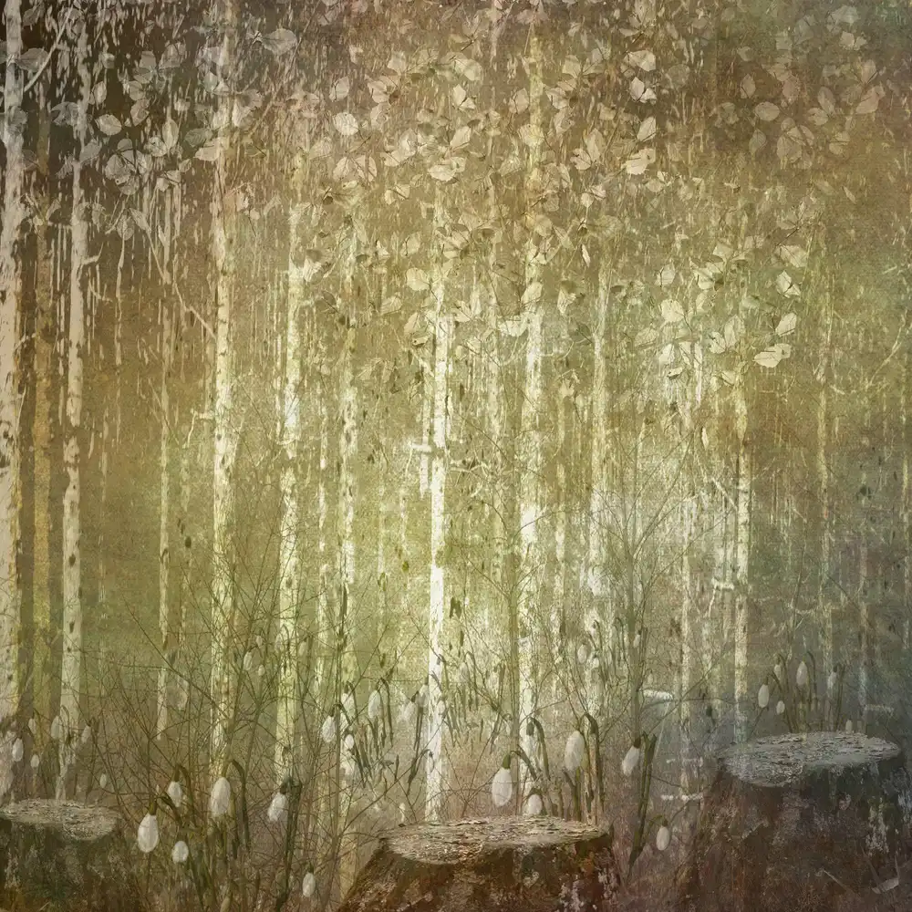 Williams, Sharon: Winter Woodland
