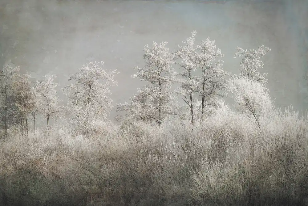 Talen, Nel: Cold morning