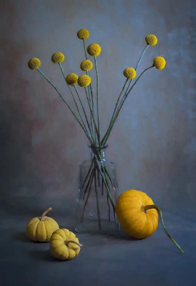Jacobs, Lydia: Frische Billy Balls