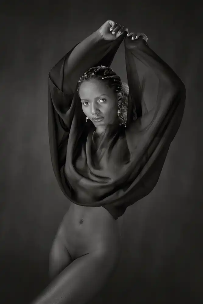 Wilkinson, Hugh: Dark Elegance