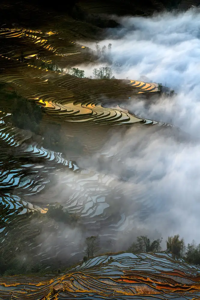 Zhu, Hua: Colorful rice terraces