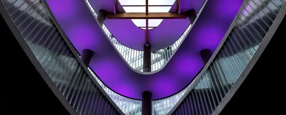 Joosten, Lus: purple bands