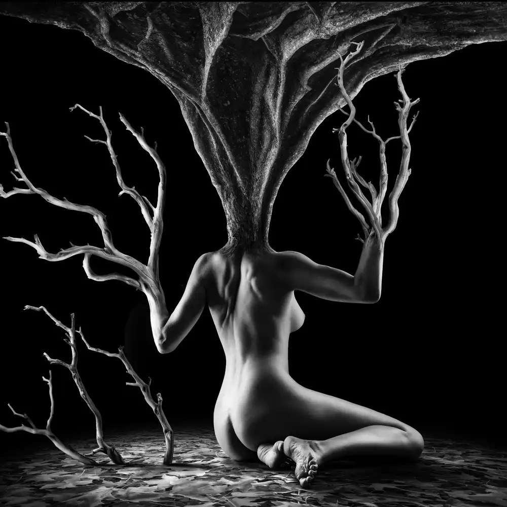 Carvalho, Jackson: ROOTS #2