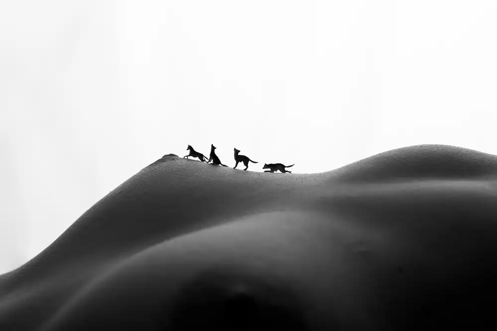 bicibici: Loup