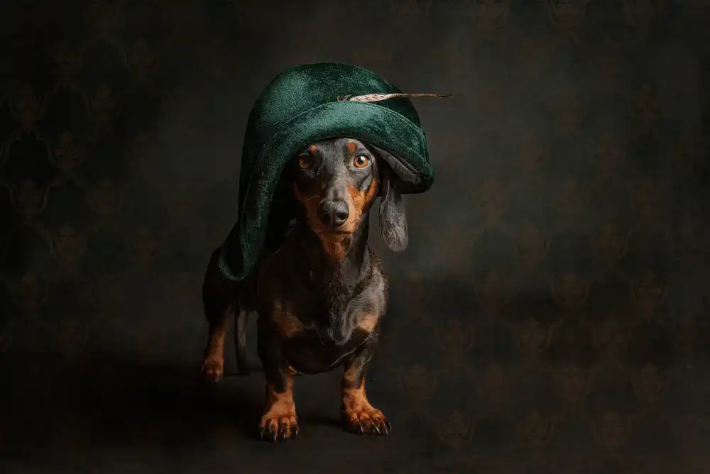 Willers, Heike: Napoleon?
