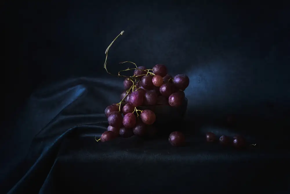 Lenka: Grapes In Blue