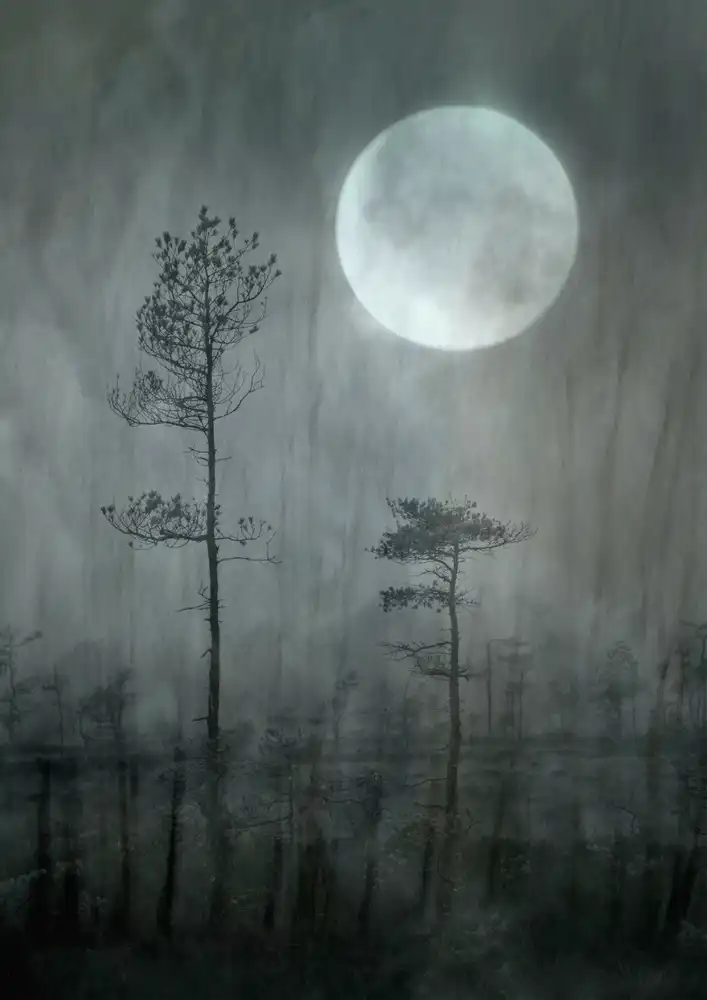 Sillèn, Christina: Bajo la luna