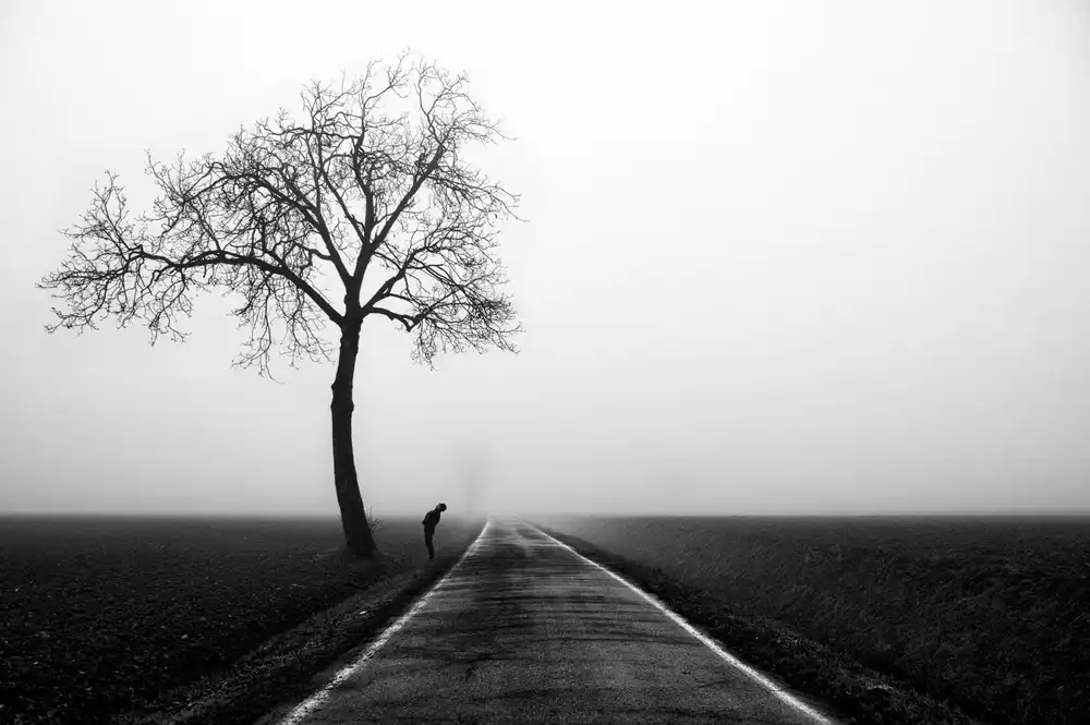 Galli, Giuseppe: Talk