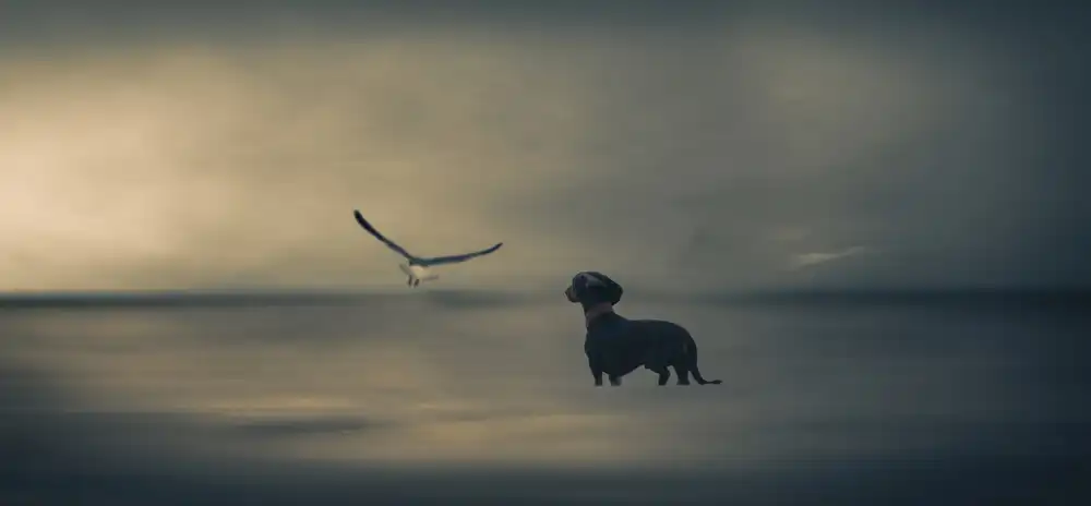 Willers, Heike: Dreamer....just a little Dreamer.....