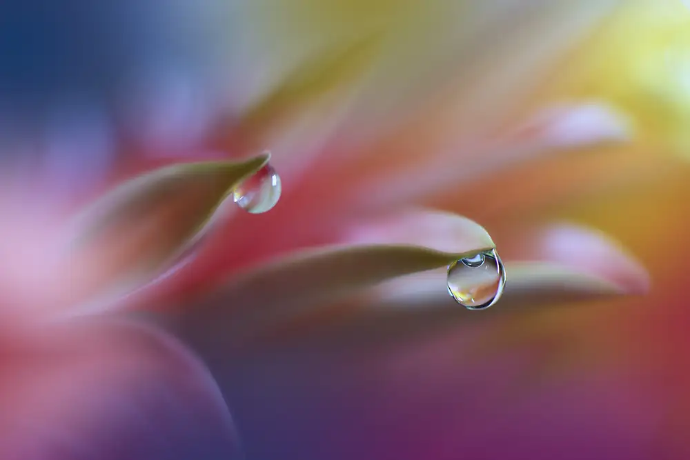 Nan, Juliana: Le son des couleurs...