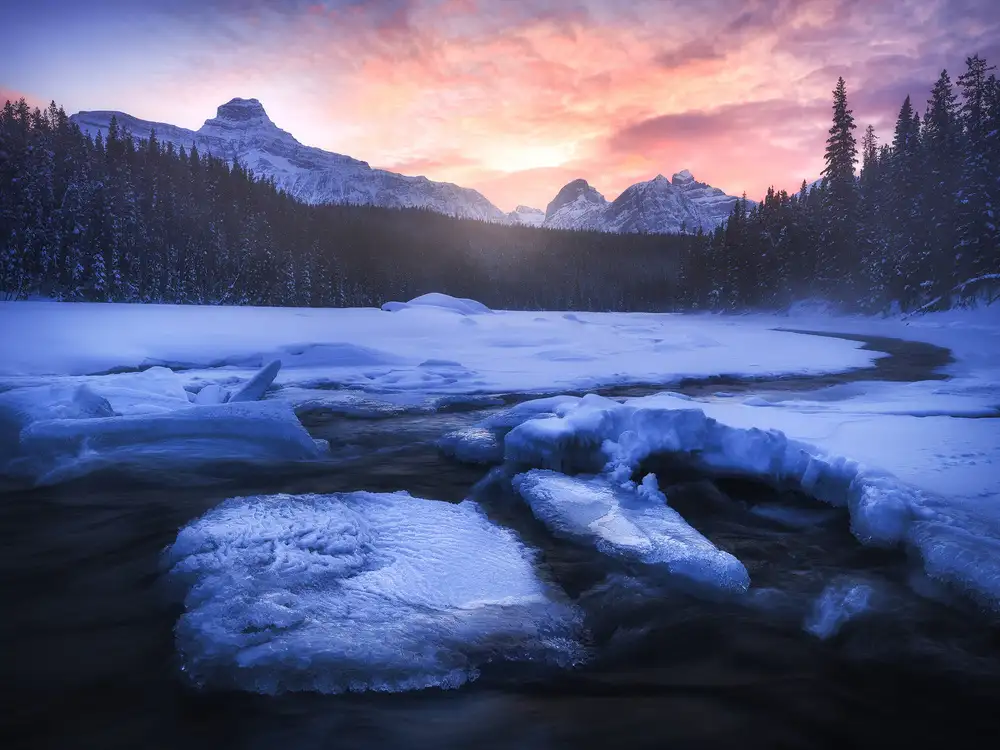 Gastager, Daniel: Frozen Wonderland