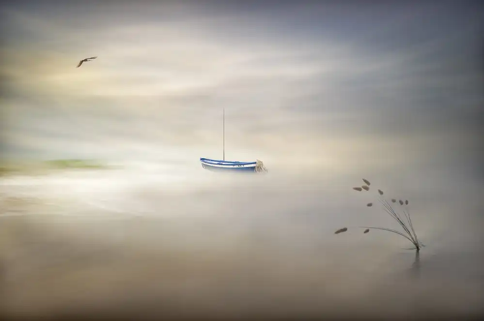 Osuna, Fran: Dreaming of the sea