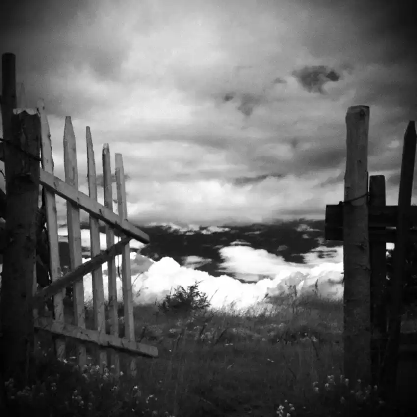 Lupei, Codrin: No name