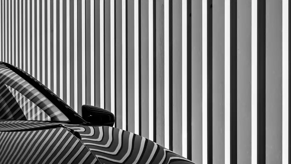 Joosten, Lus: Tettoia per auto coperto Zebra