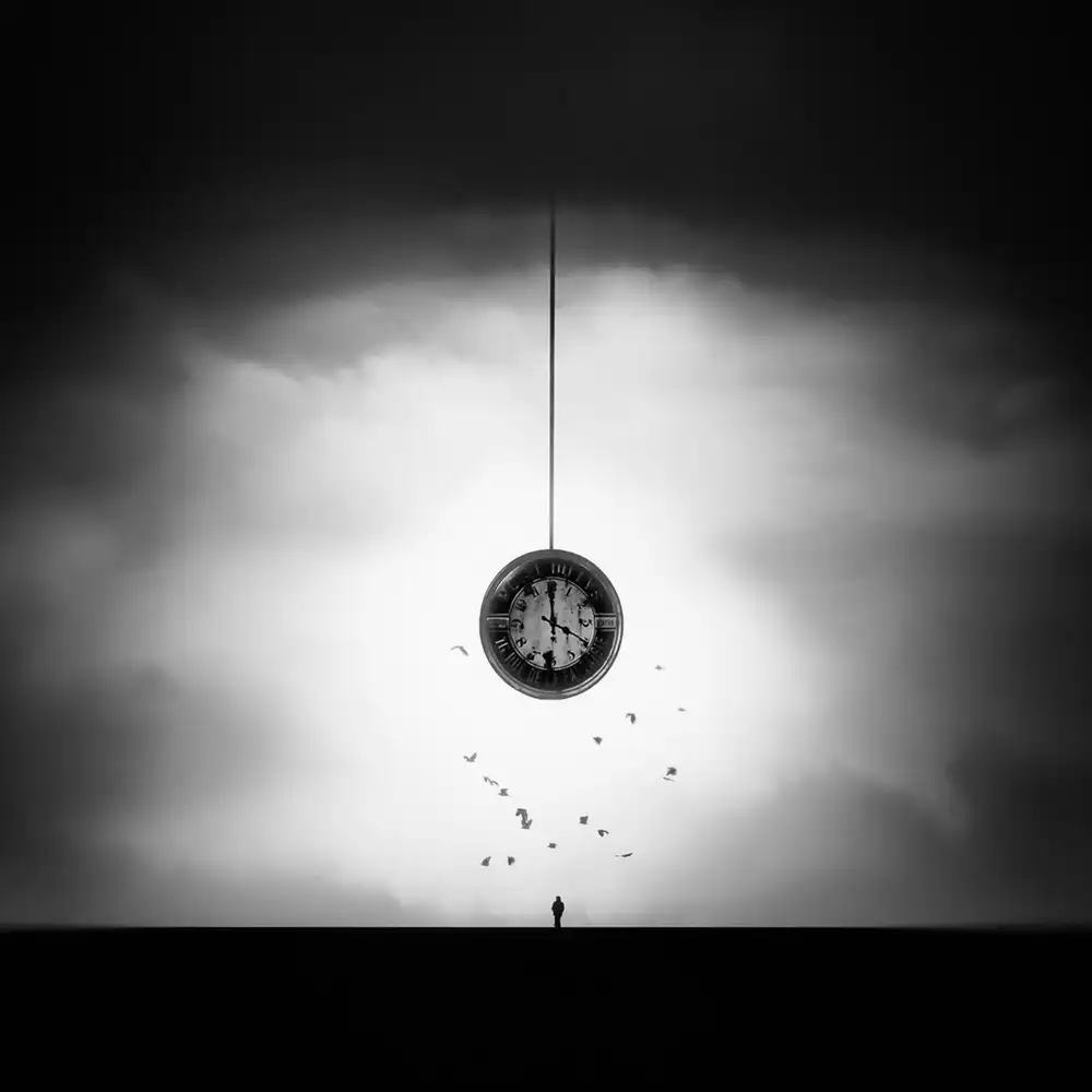 Keller, Nic: alone with birds and my time